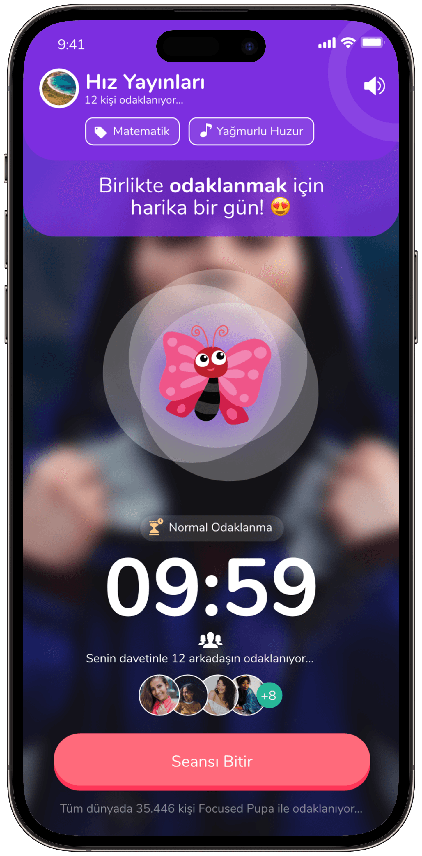 Focused Pupa — 4