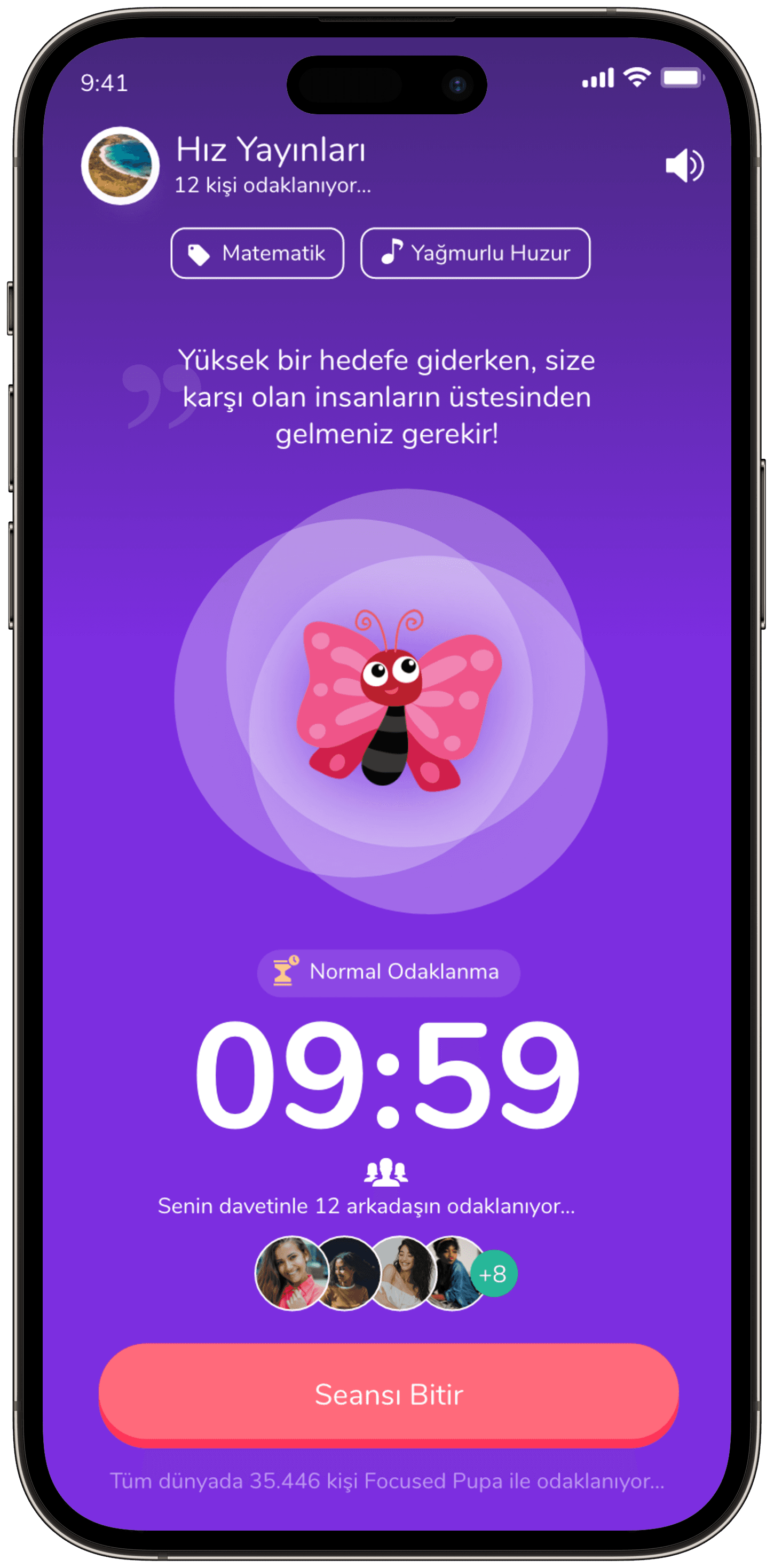 Focused Pupa — 5