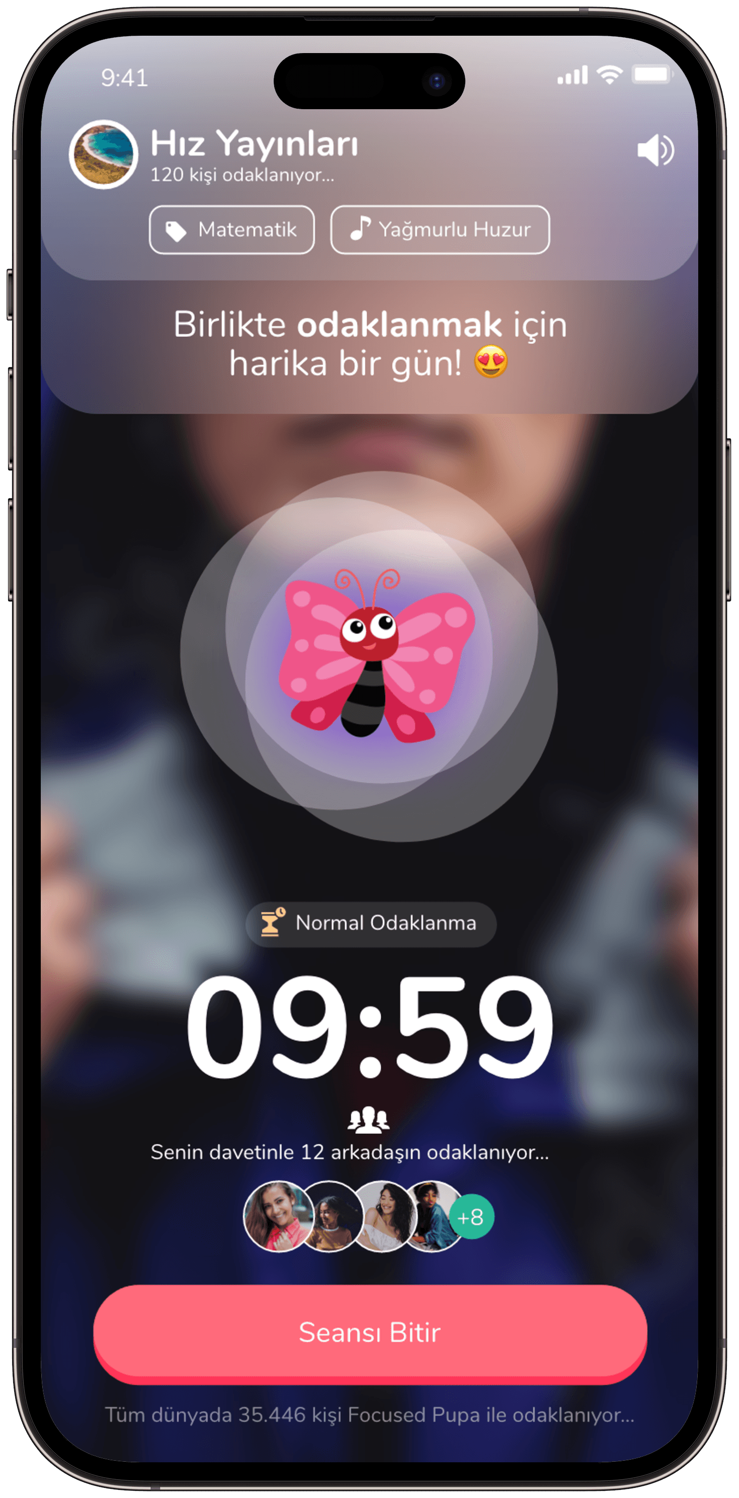 Focused Pupa — 6