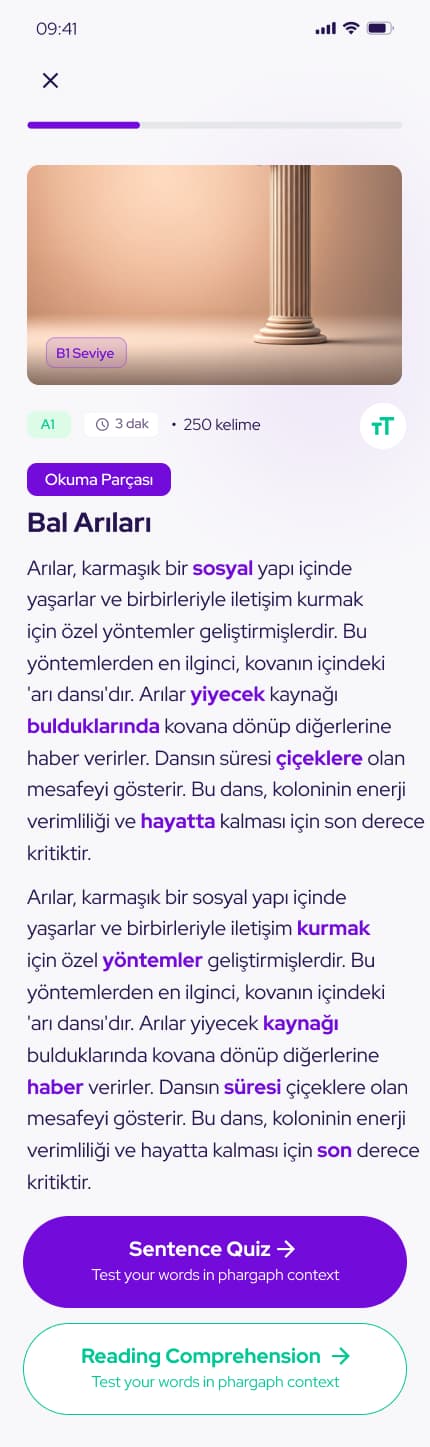 Lingoquest — Mobil Uygulama tasarımı, detay 25, Selçuk Aker