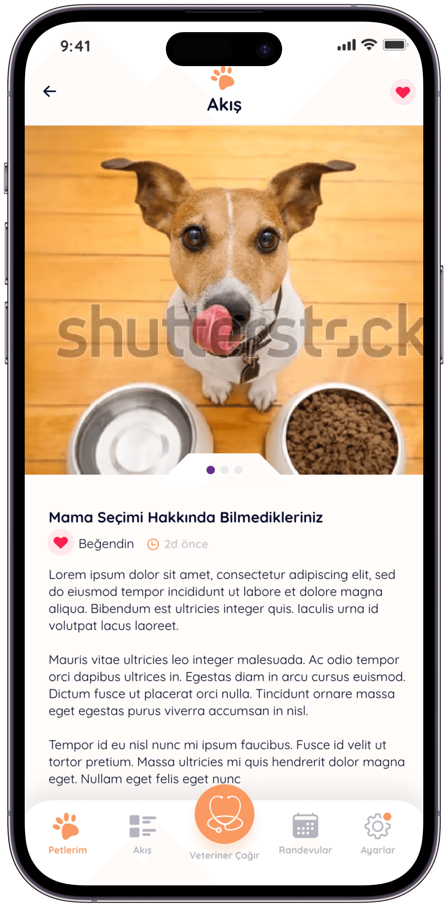 Pawla Pet App — 6