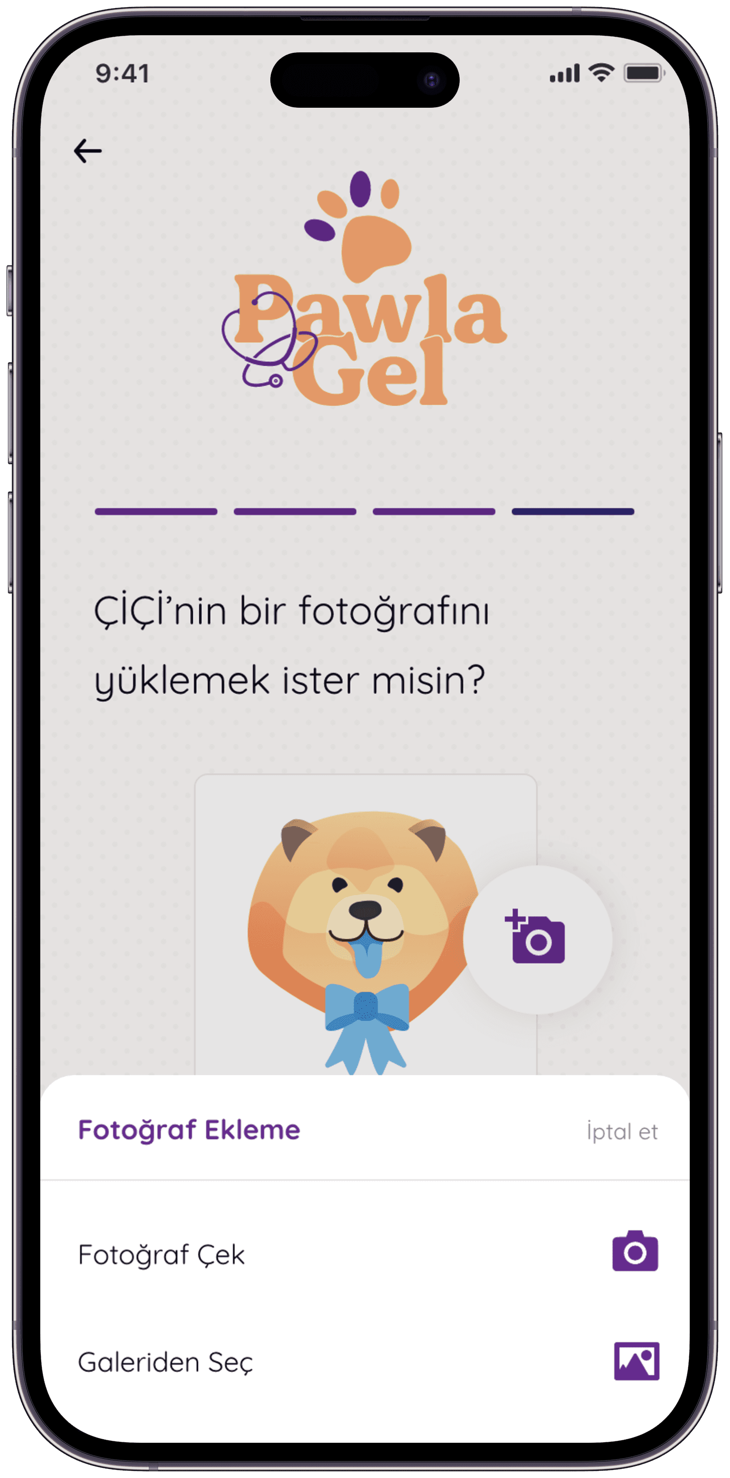 Pawla Pet App — 33