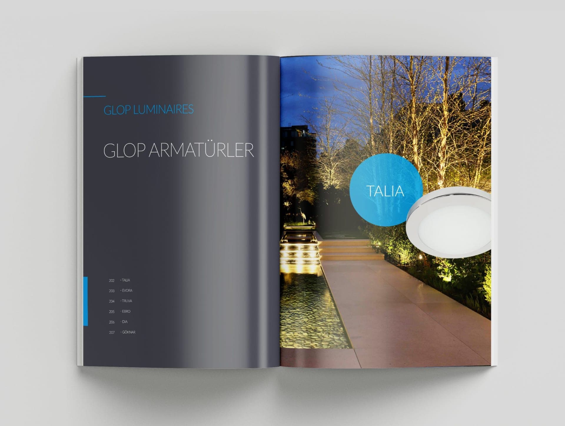 Pedaş Katalog — 8