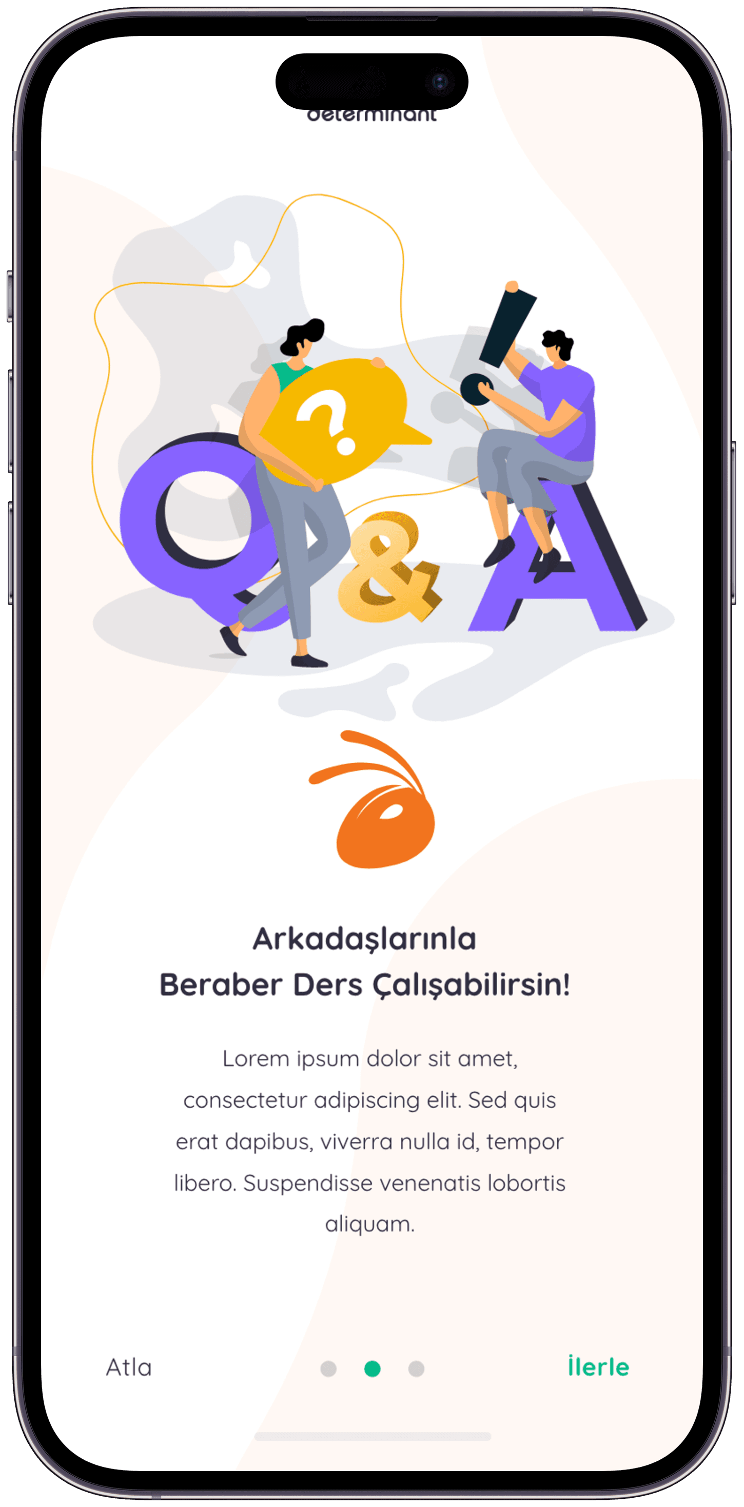 Determinant App — project detail 2, Selçuk Aker