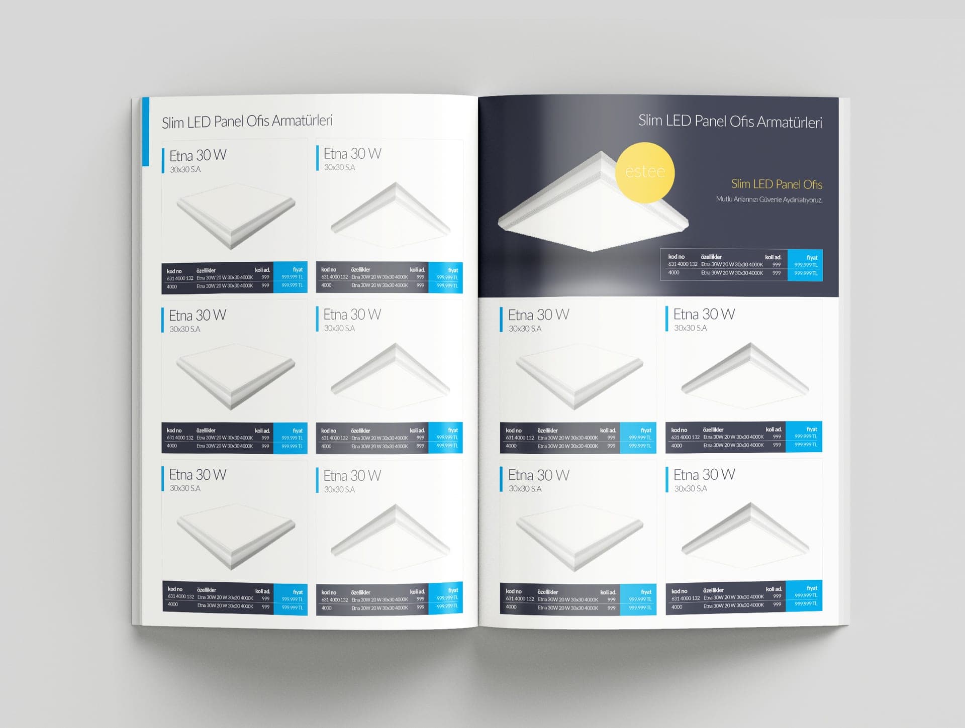 Pedaş Price List — project detail 1, Selçuk Aker